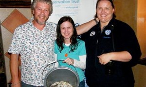 Marine Pollution Issues Stats Solutions